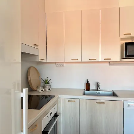 Hyvin Varusteltu City-studio Turun Linnan Kupeessa Ja Autopaikka Apartmán *