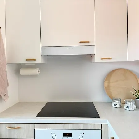 Hyvin Varusteltu City-studio Turun Linnan Kupeessa Ja Autopaikka Lägenhet