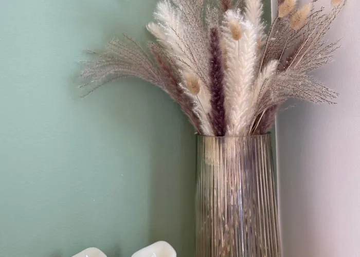 Hyvin Varusteltu City-studio Turun Linnan Kupeessa Ja Autopaikka * Turku