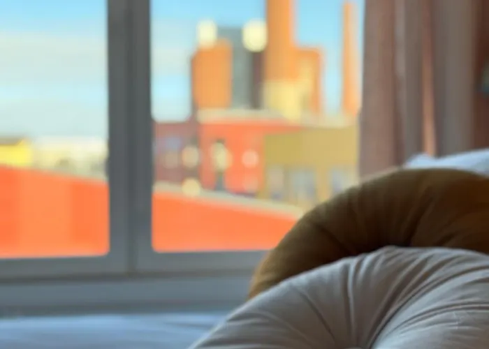 Apartamento Hyvin Varusteltu City-studio Turun Linnan Kupeessa Ja Autopaikka