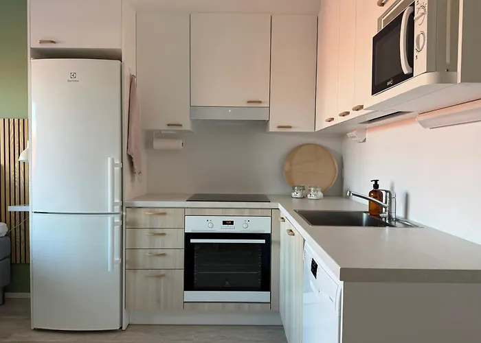 Hyvin Varusteltu City-studio Turun Linnan Kupeessa Ja Autopaikka Turku